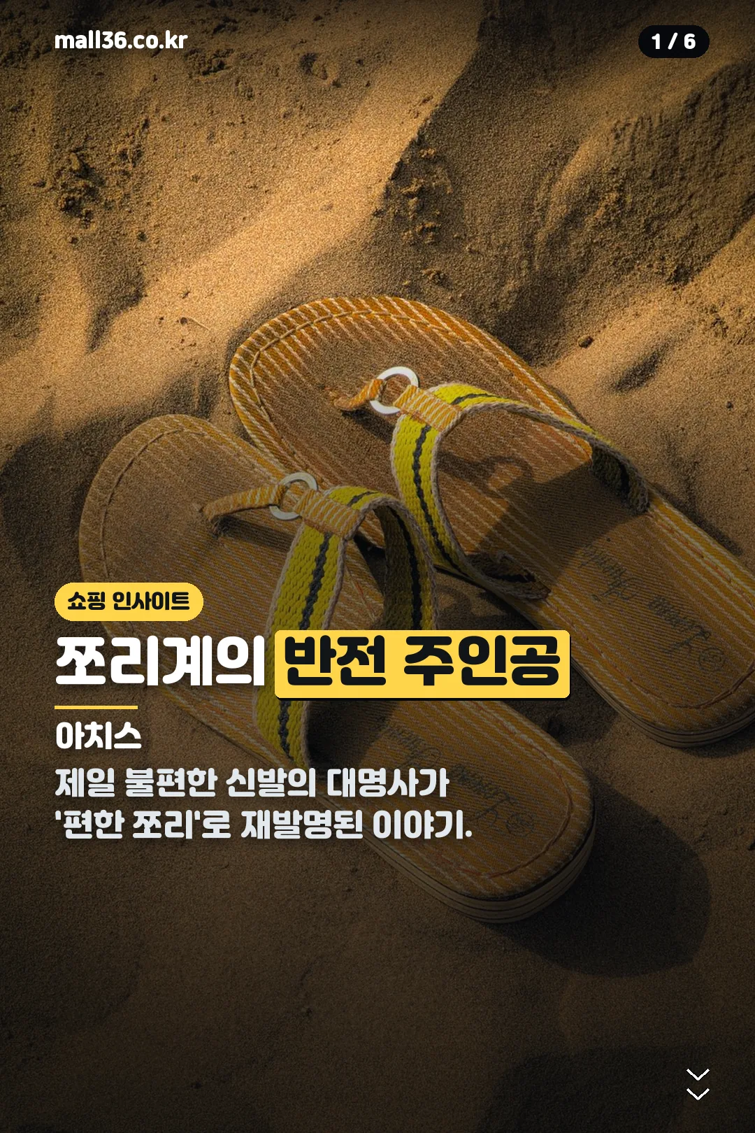 아치스 쪼리 표지