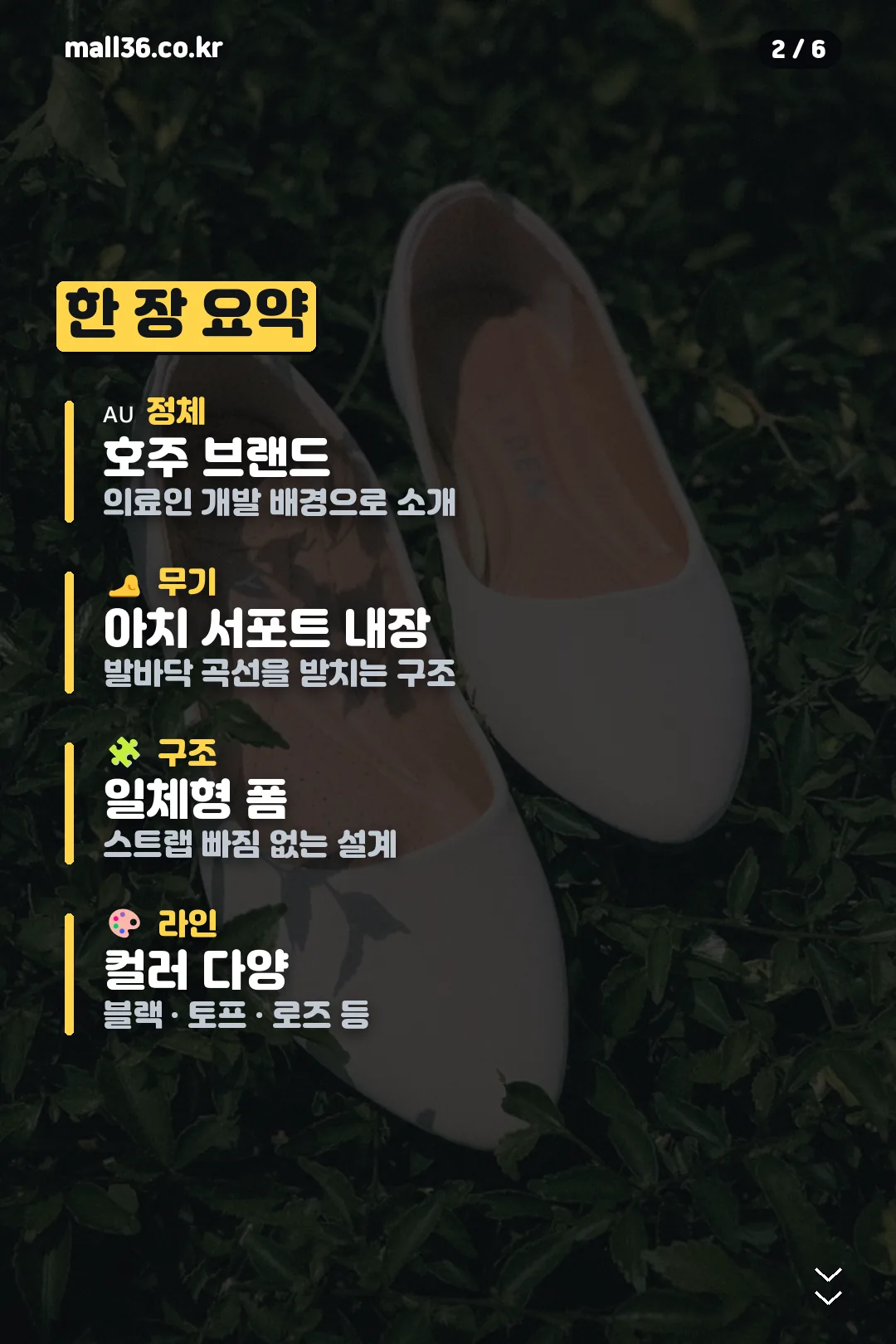 브랜드 요약
