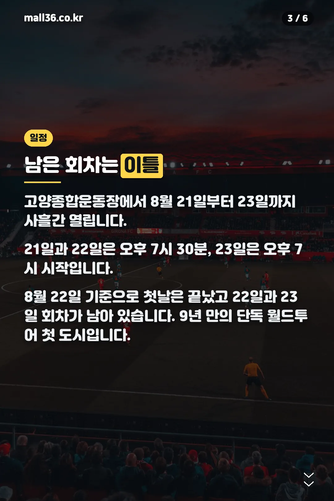 공연 일정