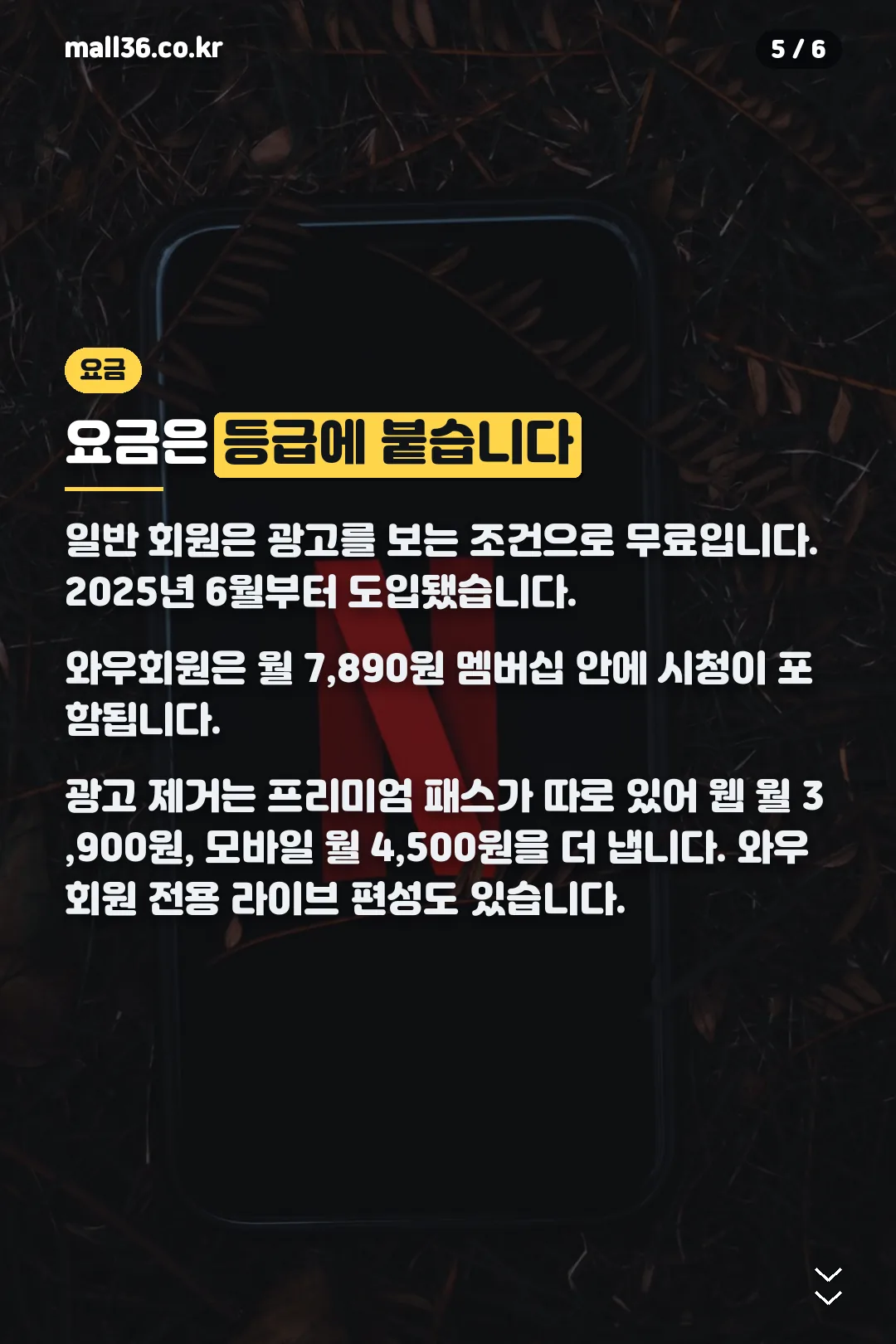 시청 요금