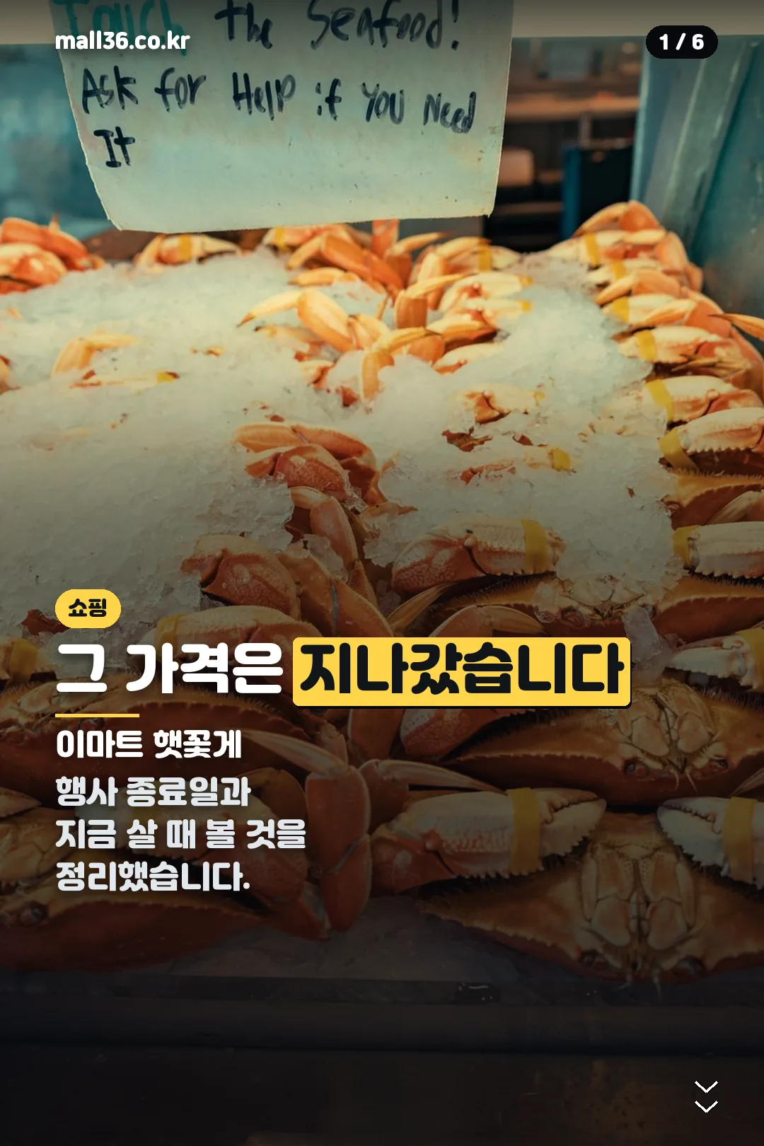 이마트 햇꽃게 표지
