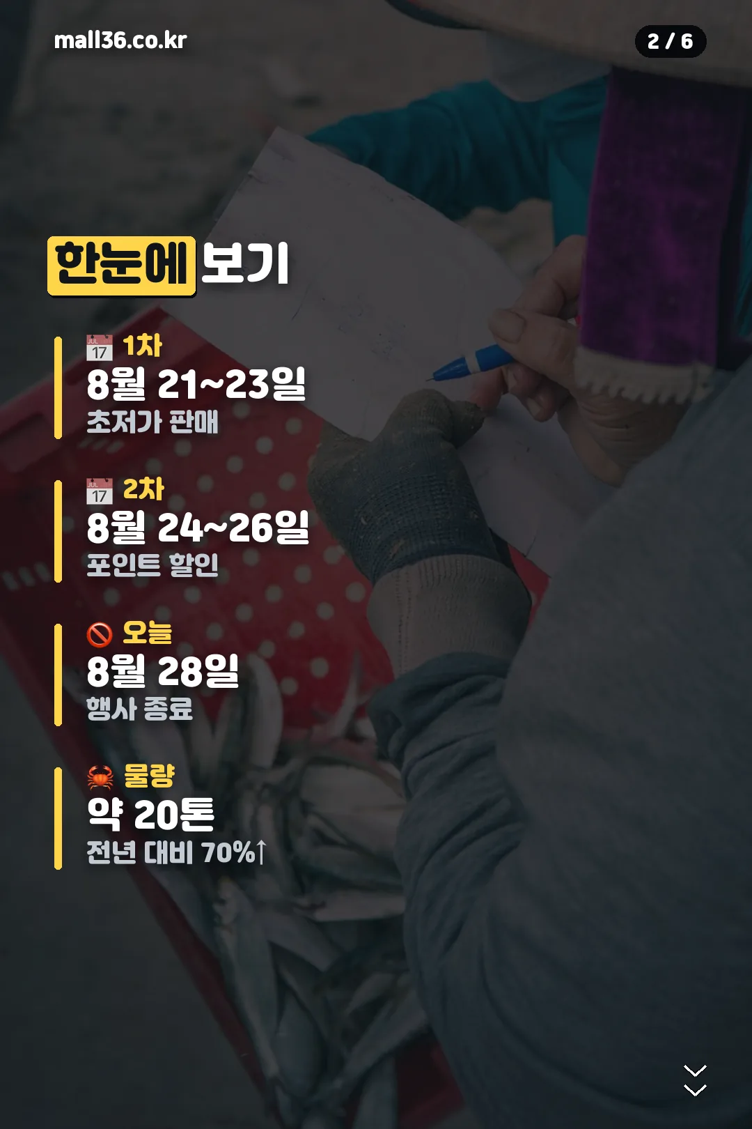 행사 일정 요약