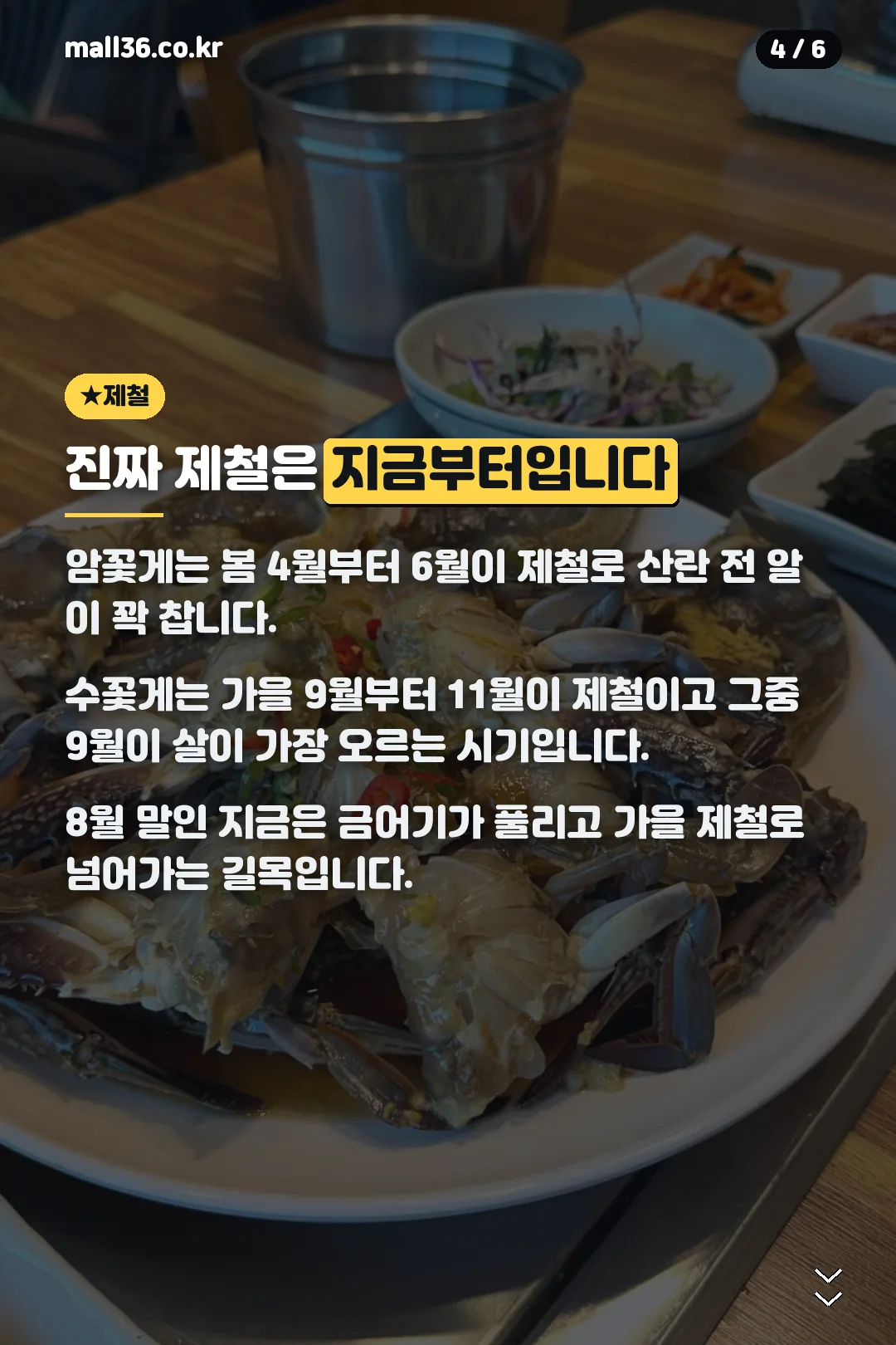 가을 제철 안내