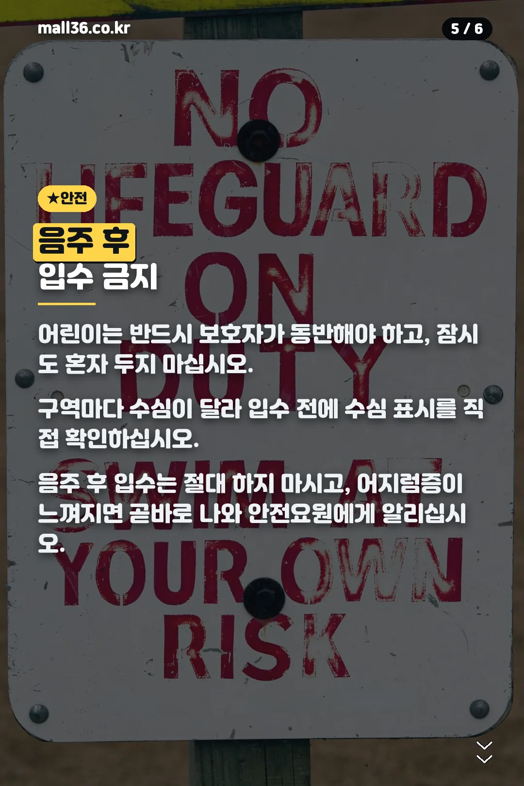 안전 수칙