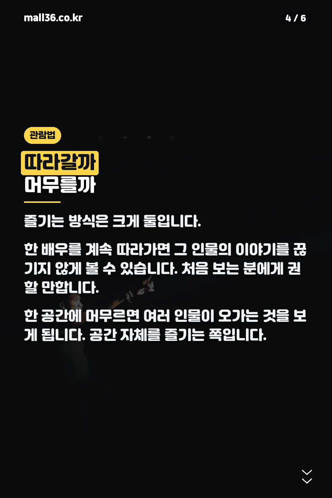 관람 방식 두 가지