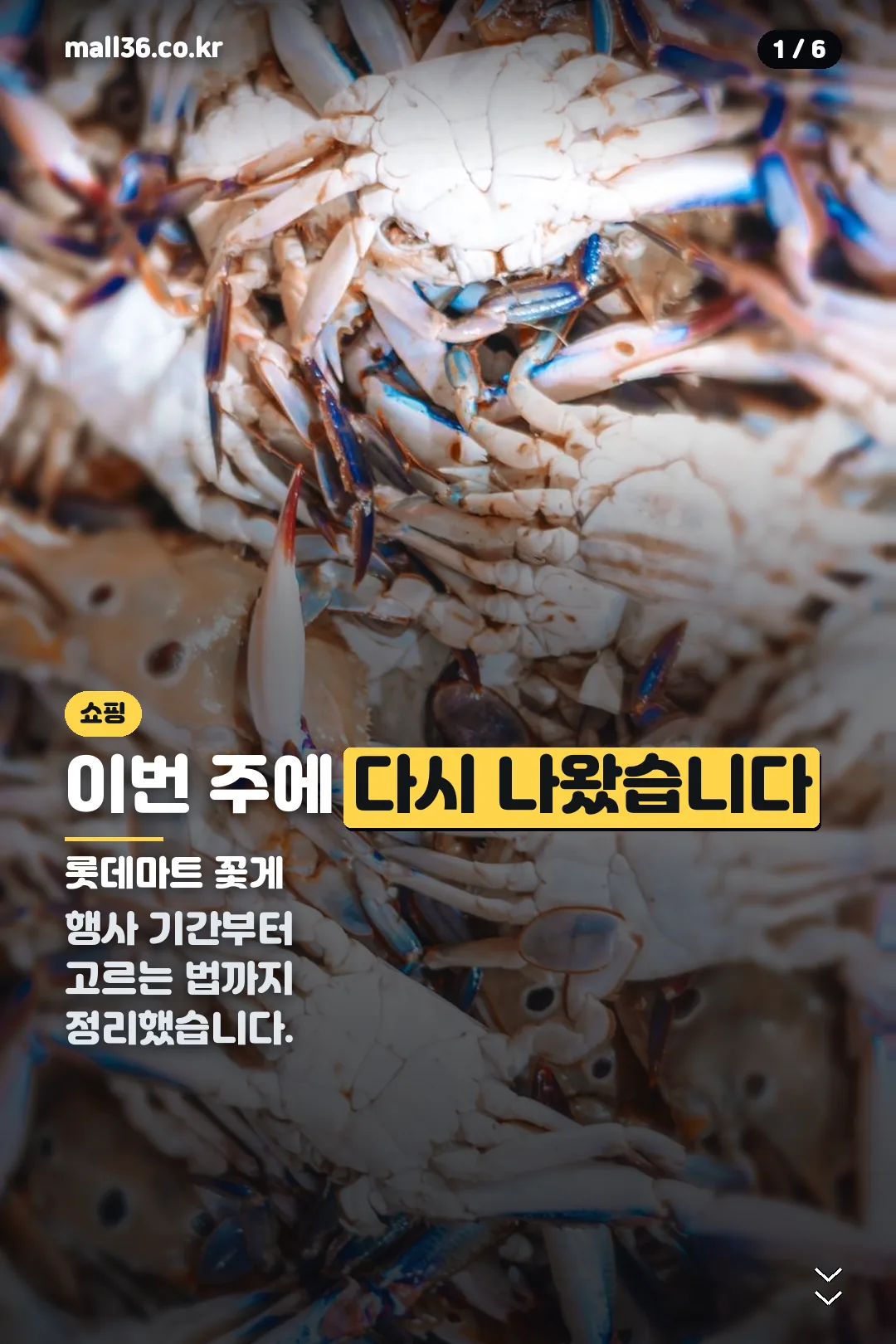 롯데마트 꽃게 표지