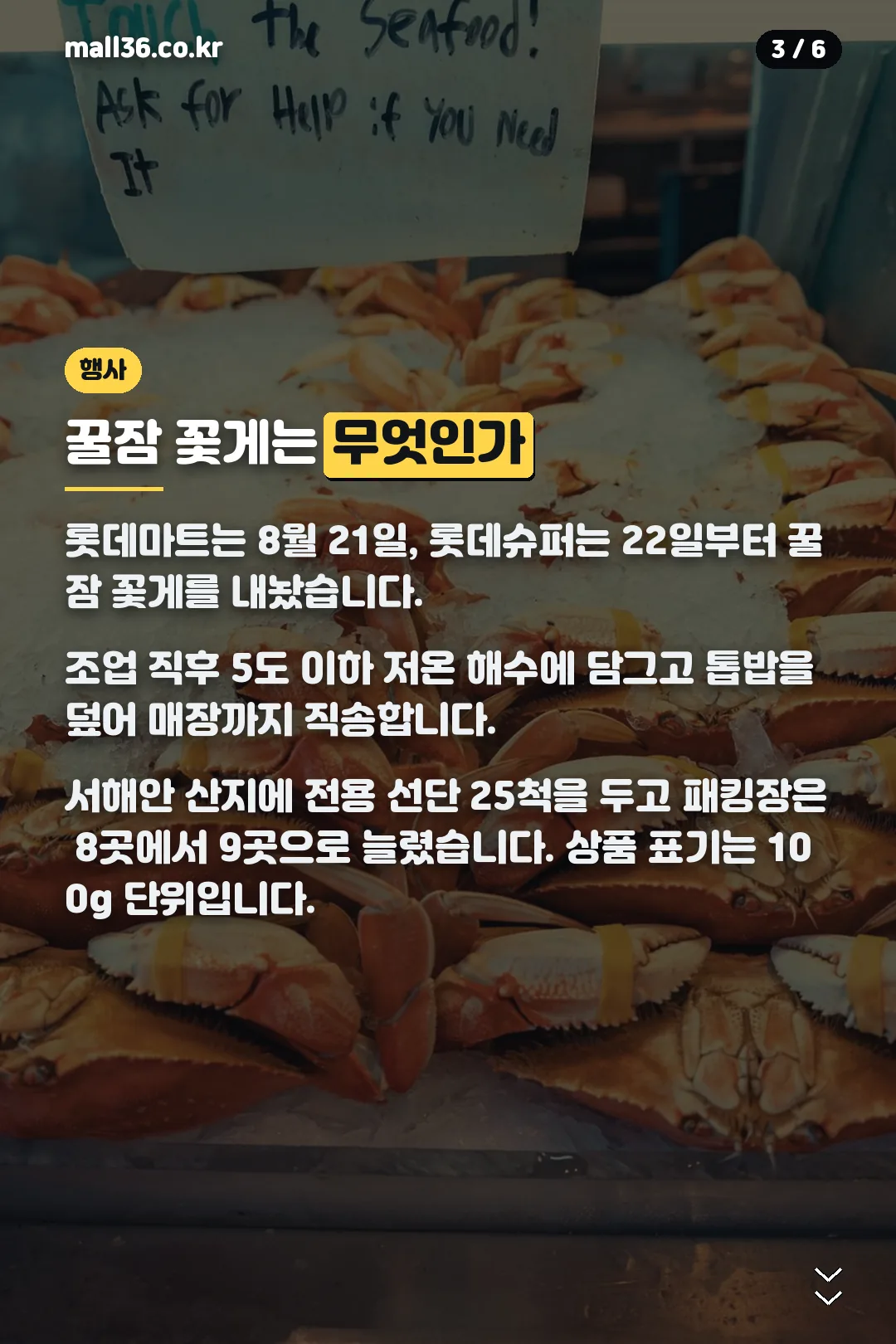 꿀잠 꽃게 판매