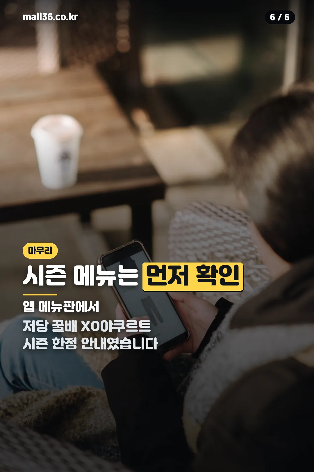시즌 한정 확인