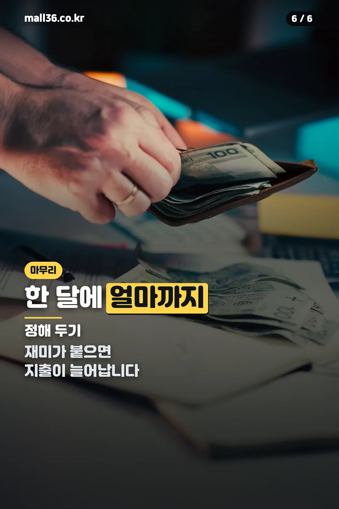 지출 관리