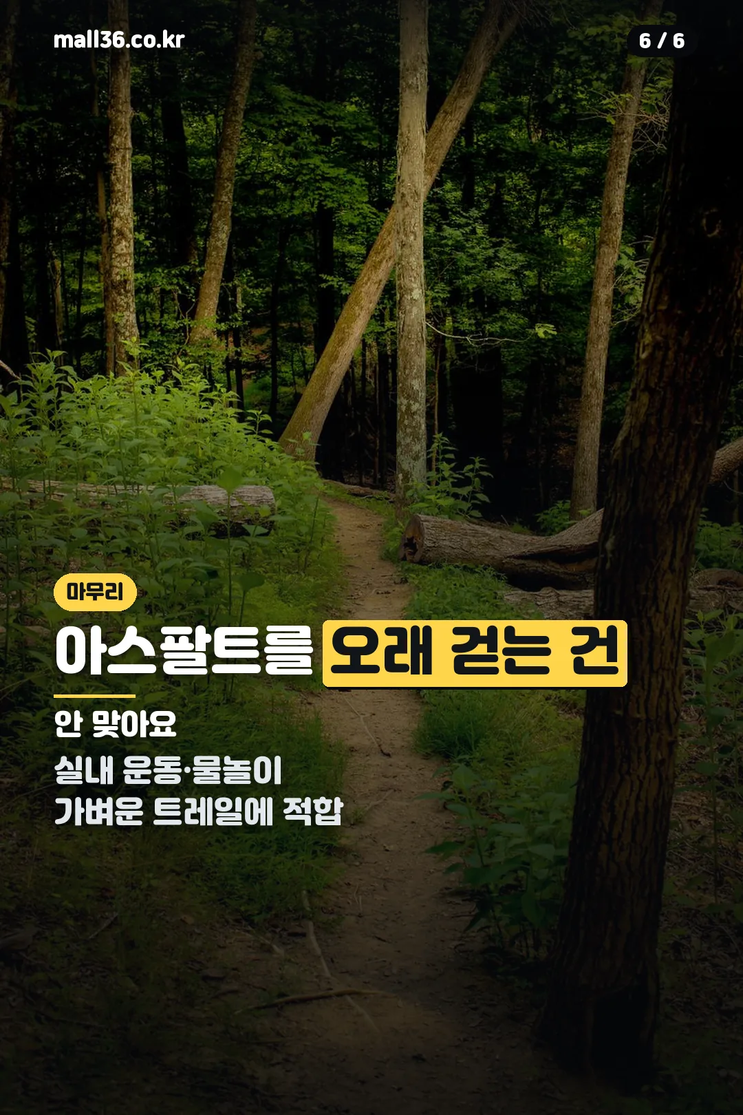 어울리는 곳
