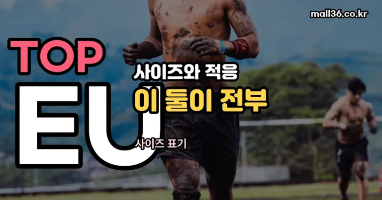 비브람 파이브핑거 정리 썸네일