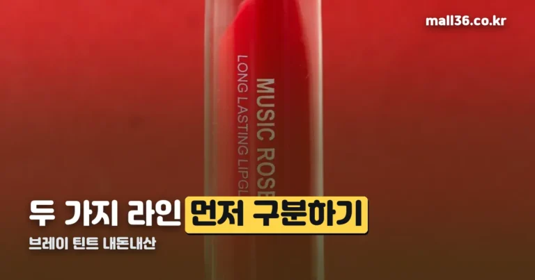 브레이 틴트 내돈내산 정리 썸네일