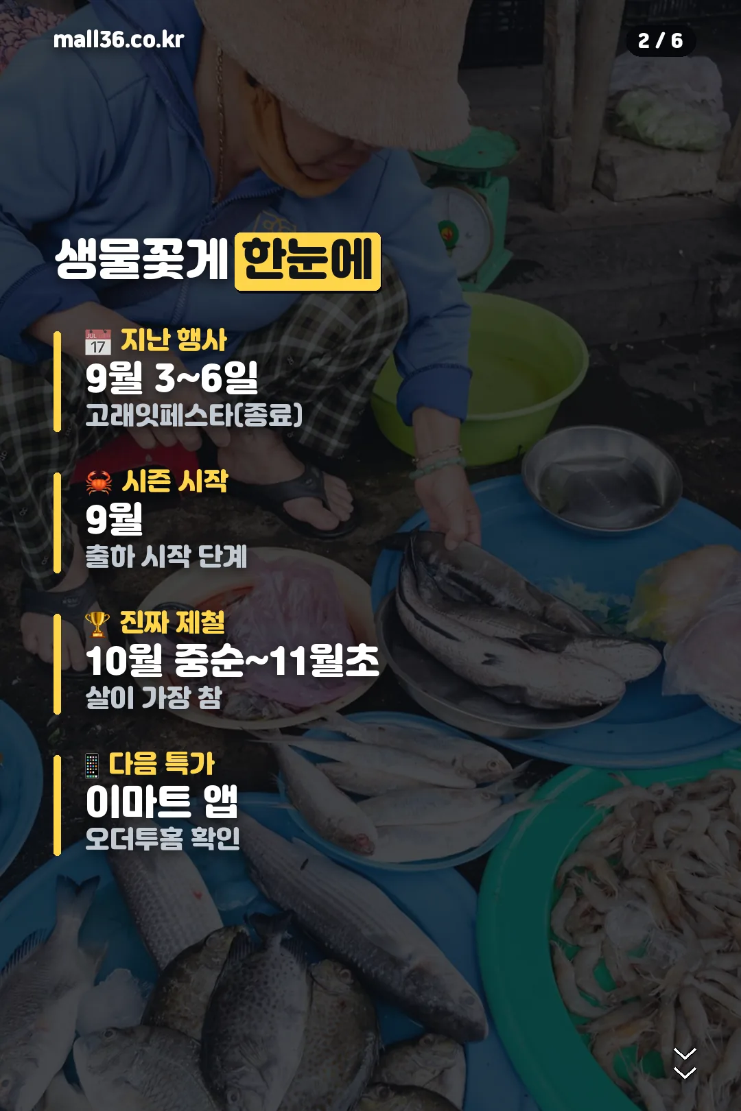 생물꽃게 한눈에
