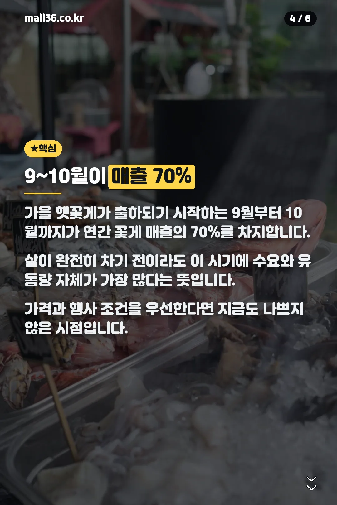 9~10월이 매출 70%