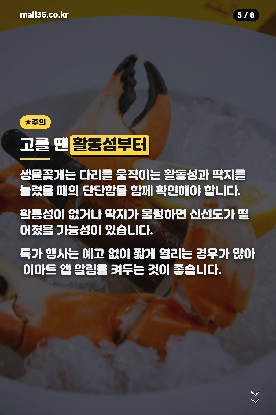 고를 땐 활동성부터
