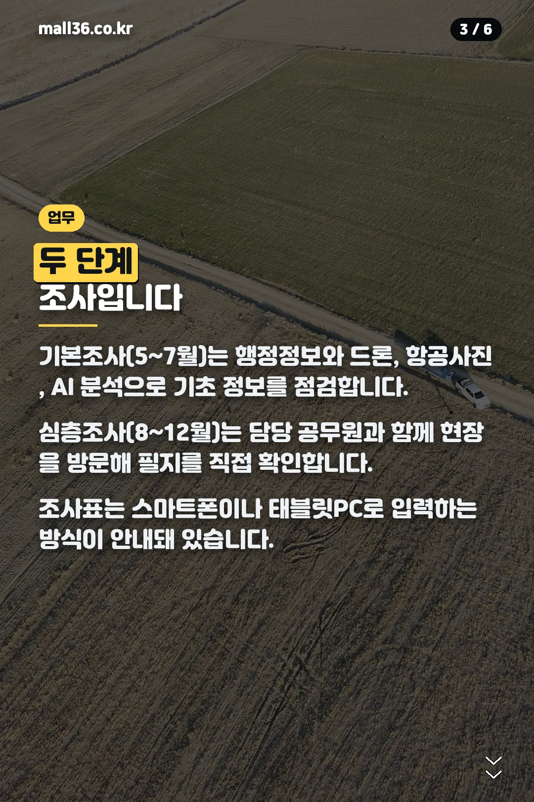 기본조사와 심층조사