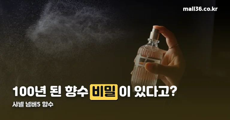 샤넬 넘버5 향수 정리 썸네일