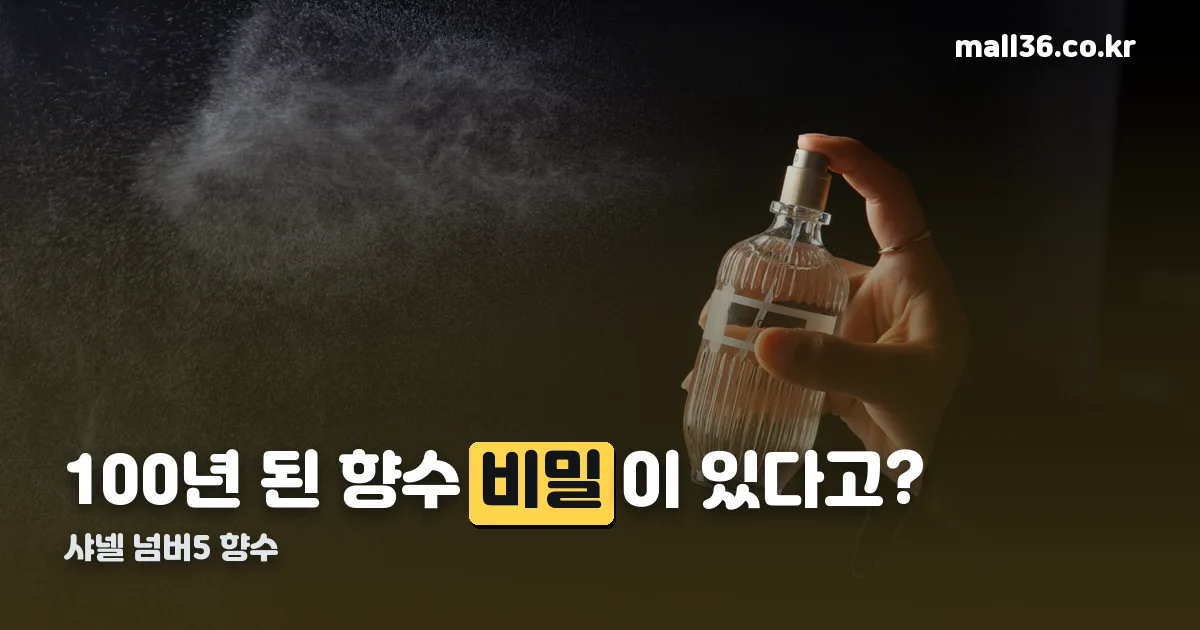 샤넬 넘버5 향수 정리 썸네일