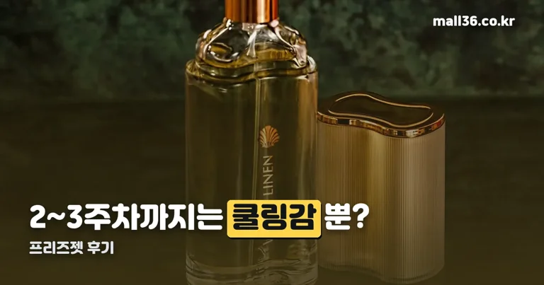 프리즈젯 후기 정리 썸네일