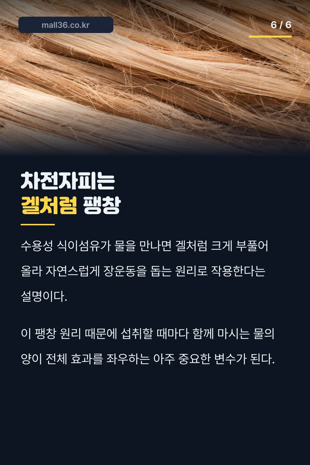 차전자피 작용 원리